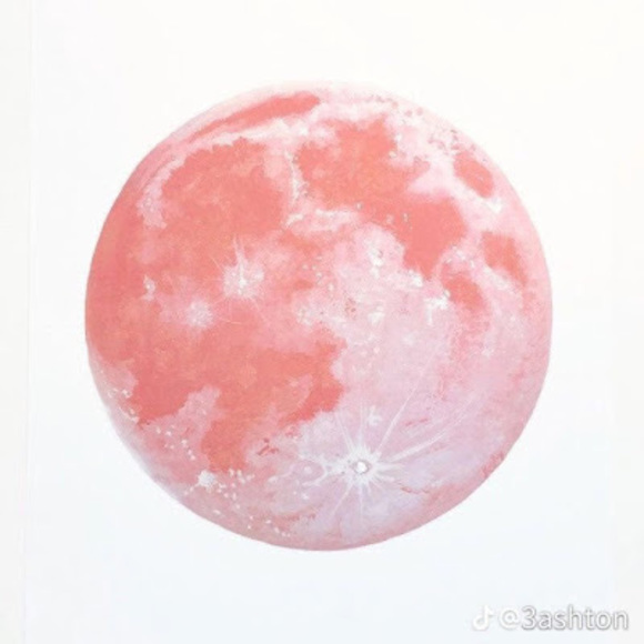 Meet your Posher, Raghav - Picture 1 of 1